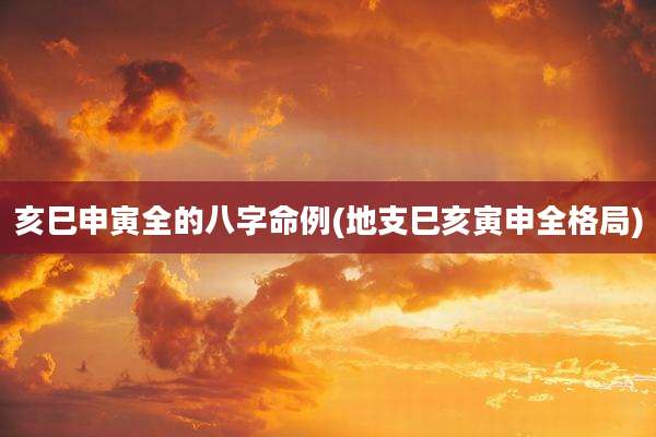 亥巳申寅全的八字命例(地支巳亥寅申全格局)