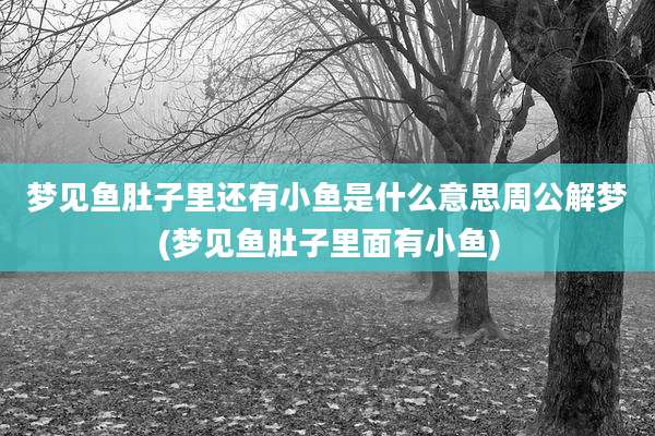 梦见鱼肚子里还有小鱼是什么意思周公解梦(梦见鱼肚子里面有小鱼)