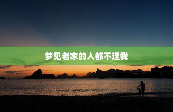 梦见老家的人都不理我