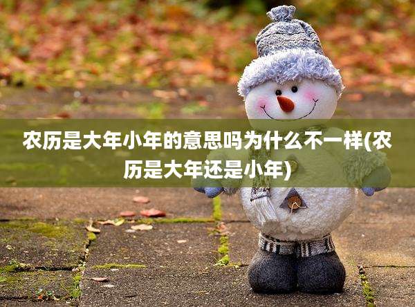 农历是大年小年的意思吗为什么不一样(农历是大年还是小年)
