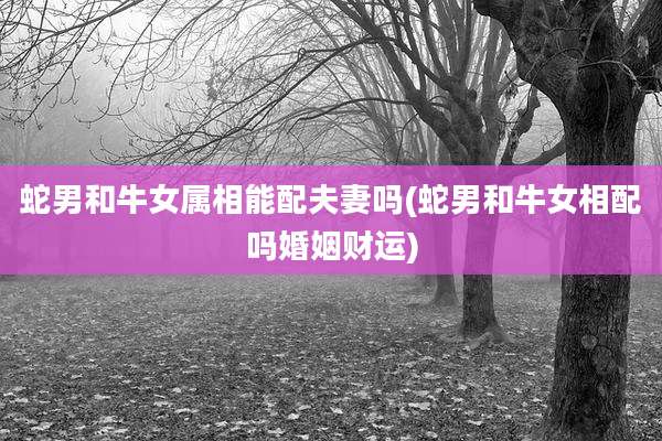 蛇男和牛女属相能配夫妻吗(蛇男和牛女相配吗婚姻财运)