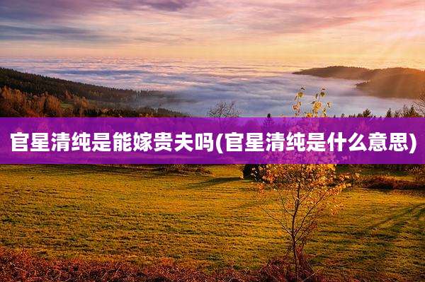 官星清纯是能嫁贵夫吗(官星清纯是什么意思)