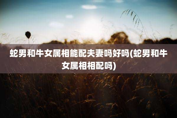 蛇男和牛女属相能配夫妻吗好吗(蛇男和牛女属相相配吗)