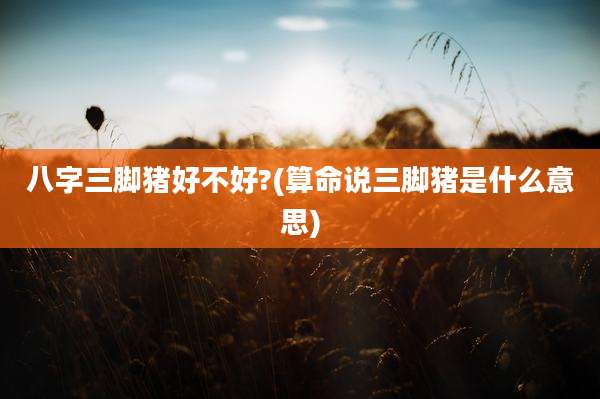 八字三脚猪好不好?(算命说三脚猪是什么意思)