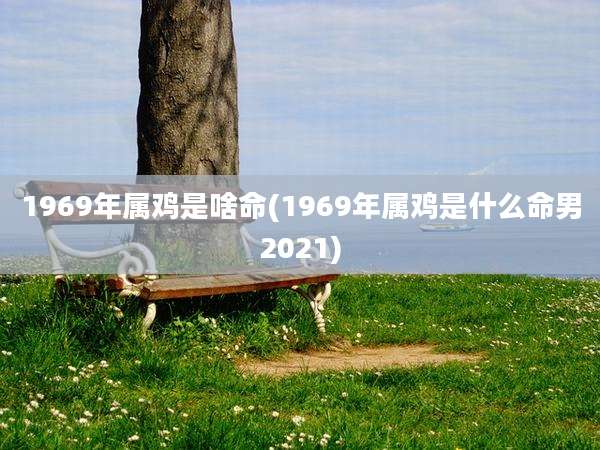 1969年属鸡是啥命(1969年属鸡是什么命男2021)