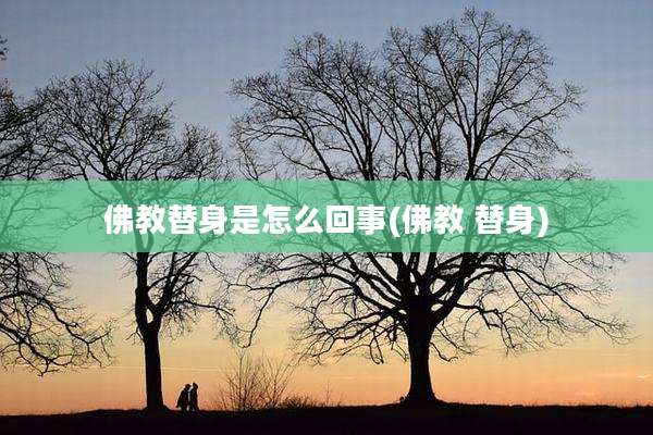 佛教替身是怎么回事(佛教 替身)