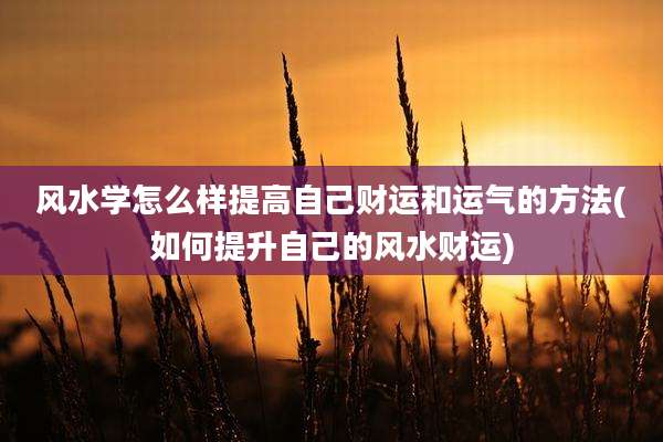 风水学怎么样提高自己财运和运气的方法(如何提升自己的风水财运)