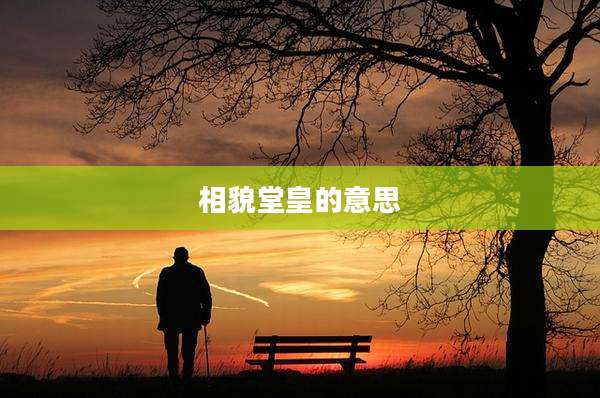 相貌堂皇的意思