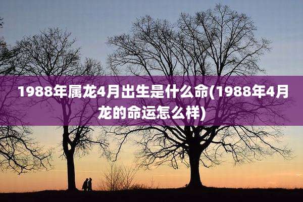 1988年属龙4月出生是什么命(1988年4月龙的命运怎么样)