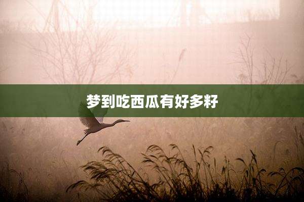 梦到吃西瓜有好多籽