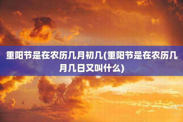 重阳节是在农历几月初几(重阳节是在农历几月几日又叫什么)