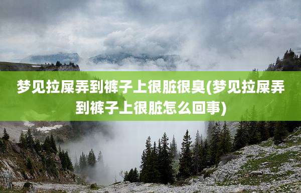 梦见拉屎弄到裤子上很脏很臭(梦见拉屎弄到裤子上很脏怎么回事)