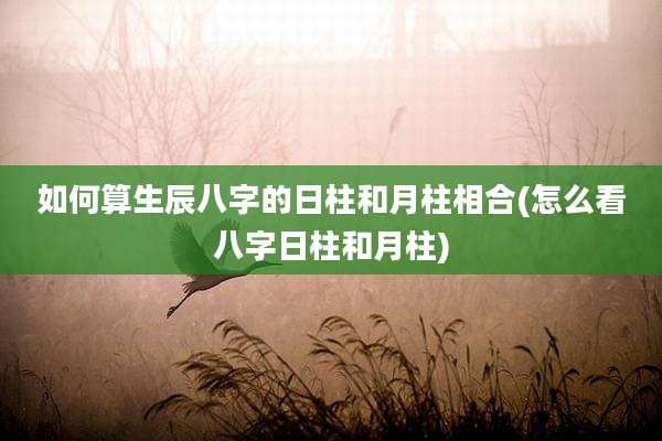 如何算生辰八字的日柱和月柱相合(怎么看八字日柱和月柱)
