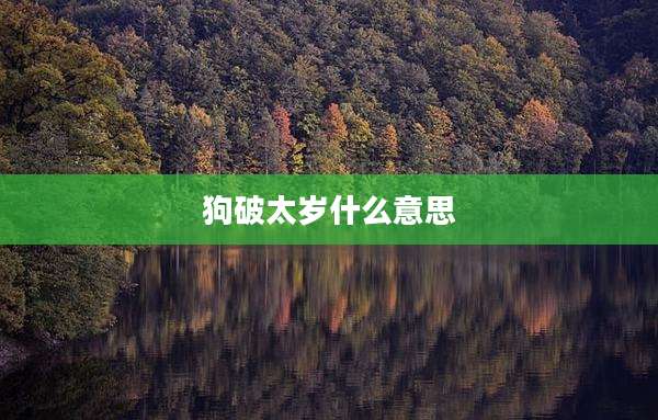 狗破太岁什么意思