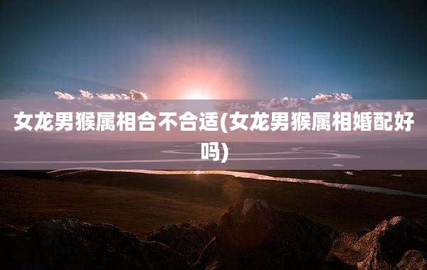 女龙男猴属相合不合适(女龙男猴属相婚配好吗)
