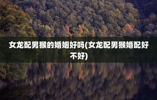 女龙配男猴的婚姻好吗(女龙配男猴婚配好不好)