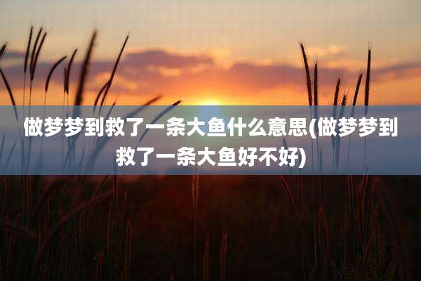 做梦梦到救了一条大鱼什么意思(做梦梦到救了一条大鱼好不好)