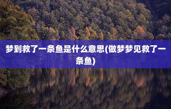 梦到救了一条鱼是什么意思(做梦梦见救了一条鱼)