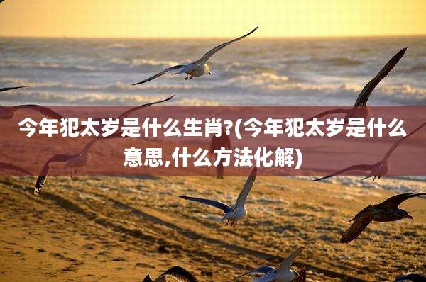 今年犯太岁是什么生肖?(今年犯太岁是什么意思,什么方法化解)