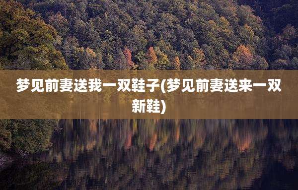 梦见前妻送我一双鞋子(梦见前妻送来一双新鞋)