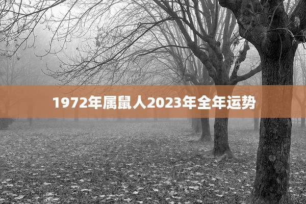 1972年属鼠人2023年全年运势