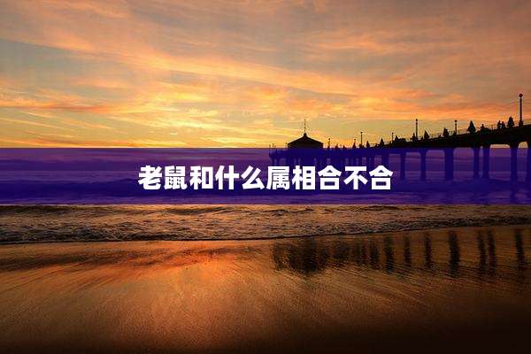 老鼠和什么属相合不合