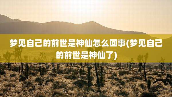 梦见自己的前世是神仙怎么回事(梦见自己的前世是神仙了)