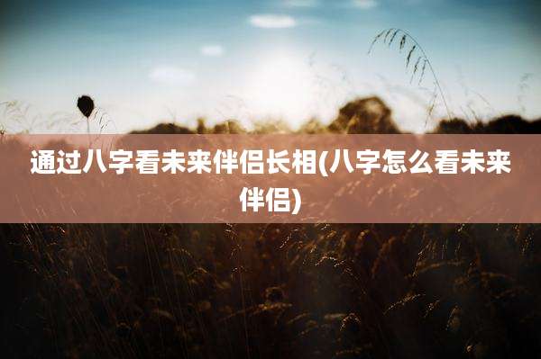 通过八字看未来伴侣长相(八字怎么看未来伴侣)