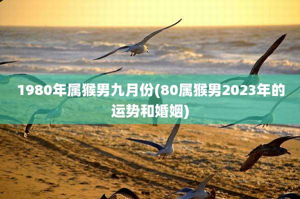 1980年属猴男九月份(80属猴男2023年的运势和婚姻)