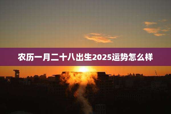 农历一月二十八出生2025运势怎么样