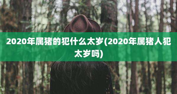 2020年属猪的犯什么太岁(2020年属猪人犯太岁吗)