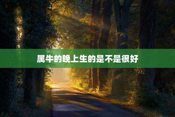 属牛的晚上生的是不是很好