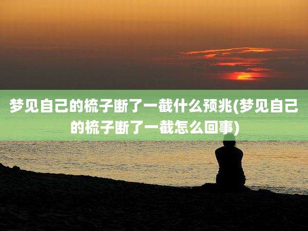 梦见自己的梳子断了一截什么预兆(梦见自己的梳子断了一截怎么回事)