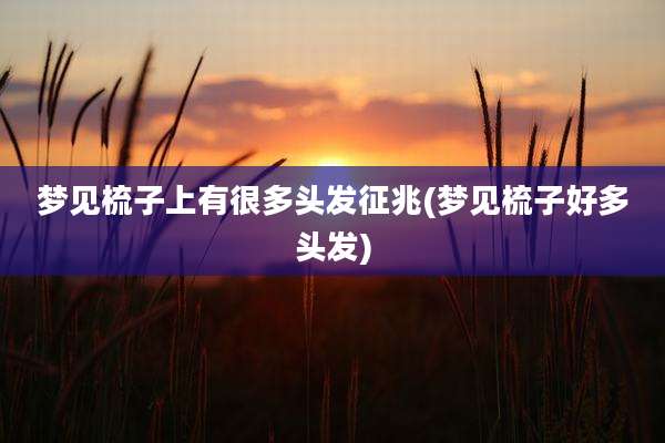梦见梳子上有很多头发征兆(梦见梳子好多头发)