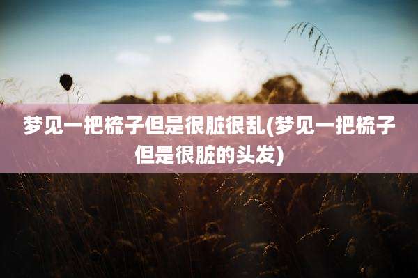 梦见一把梳子但是很脏很乱(梦见一把梳子但是很脏的头发)