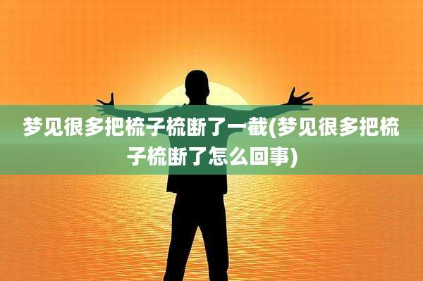 梦见很多把梳子梳断了一截(梦见很多把梳子梳断了怎么回事)