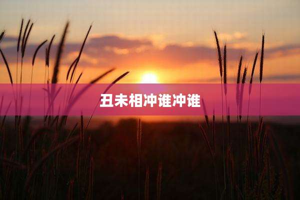 丑未相冲谁冲谁