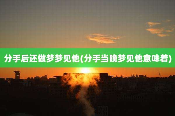 分手后还做梦梦见他(分手当晚梦见他意味着)