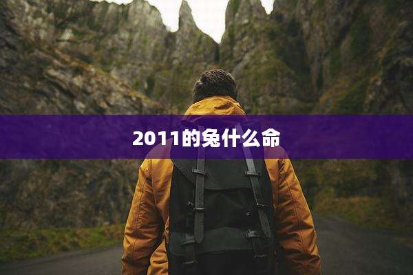2011的兔什么命