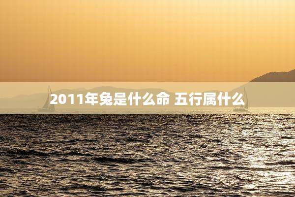 2011年兔是什么命 五行属什么