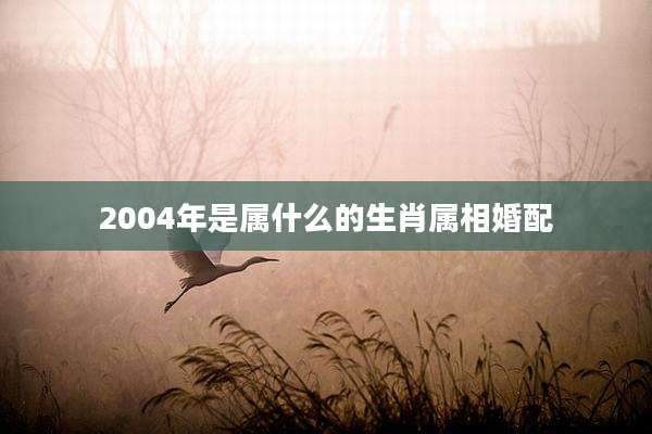 2004年是属什么的生肖属相婚配