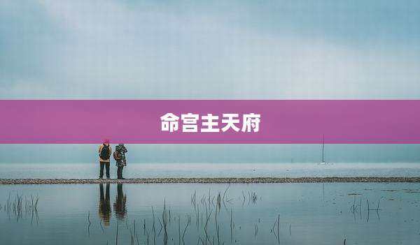 命宫主天府
