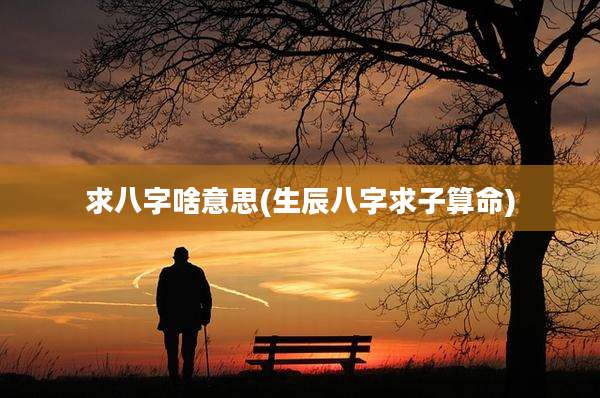 求八字啥意思(生辰八字求子算命)