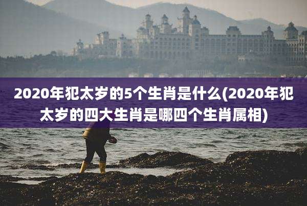 2020年犯太岁的5个生肖是什么(2020年犯太岁的四大生肖是哪四个生肖属相)