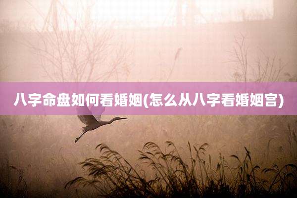 八字命盘如何看婚姻(怎么从八字看婚姻宫)