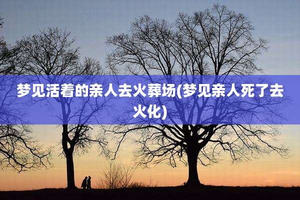 梦见活着的亲人去火葬场(梦见亲人死了去火化)