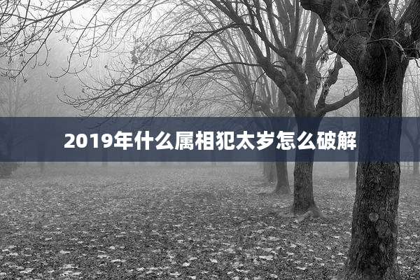 2019年什么属相犯太岁怎么破解