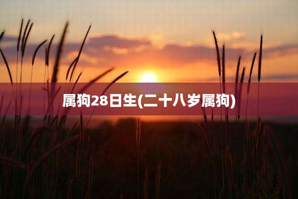 属狗28日生(二十八岁属狗)