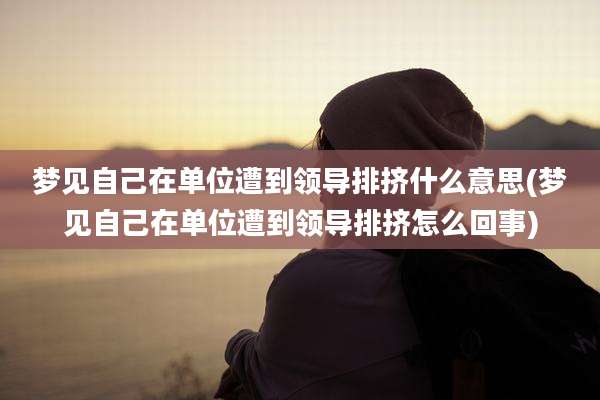 梦见自己在单位遭到领导排挤什么意思(梦见自己在单位遭到领导排挤怎么回事)