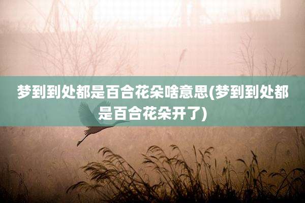 梦到到处都是百合花朵啥意思(梦到到处都是百合花朵开了)